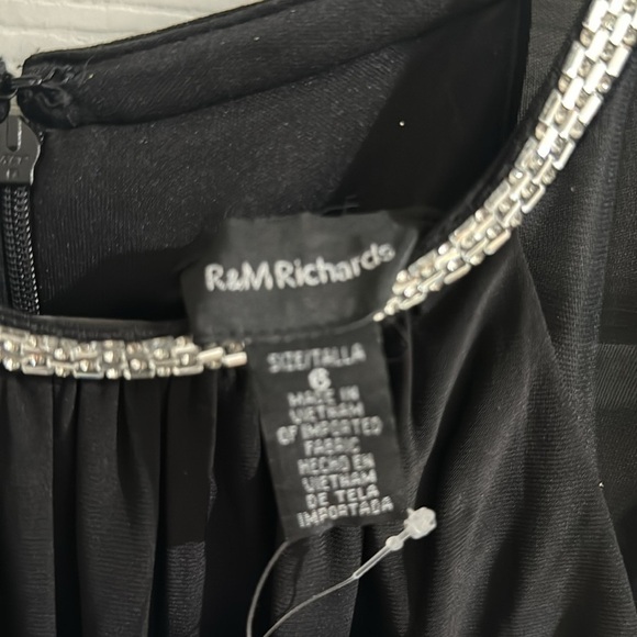 Beautiful NWT R&M Richard Size 18W Crew Neck Capelet Long Sleeve Chiffon Dress - Picture 8 of 9